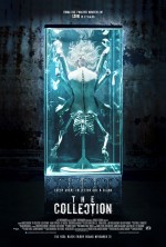 collection_xlg.jpg